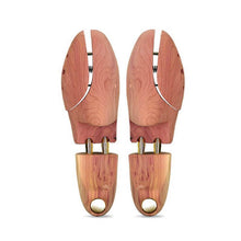 Indlæs billede til gallerivisning Skolæste Cedertræ - Kaps - Lion Feet - Sneaker Tilbehør